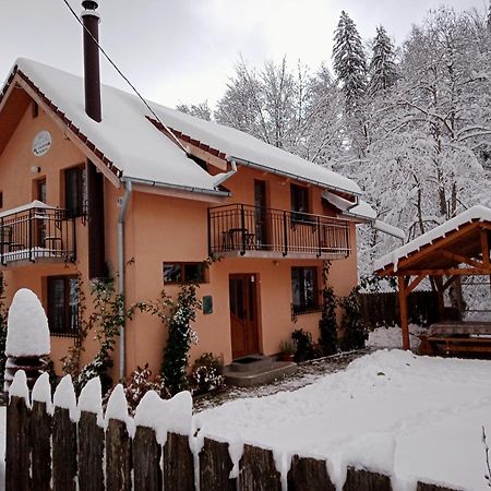 Casa Iulia & Matei Villa Cartisoara Luaran gambar