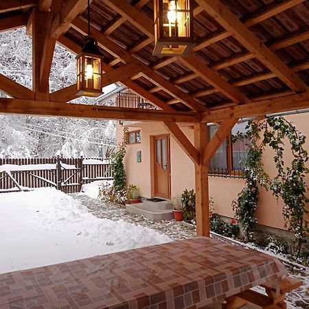 Casa Iulia & Matei Villa Cartisoara Luaran gambar