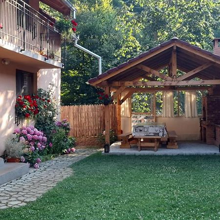 Casa Iulia & Matei Villa Cartisoara Luaran gambar