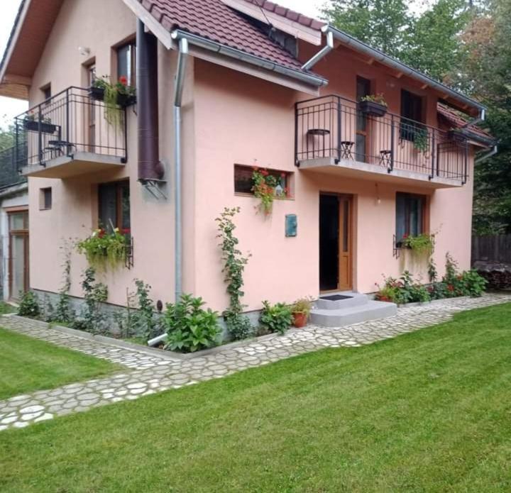 Casa Iulia & Matei Villa Cartisoara Luaran gambar