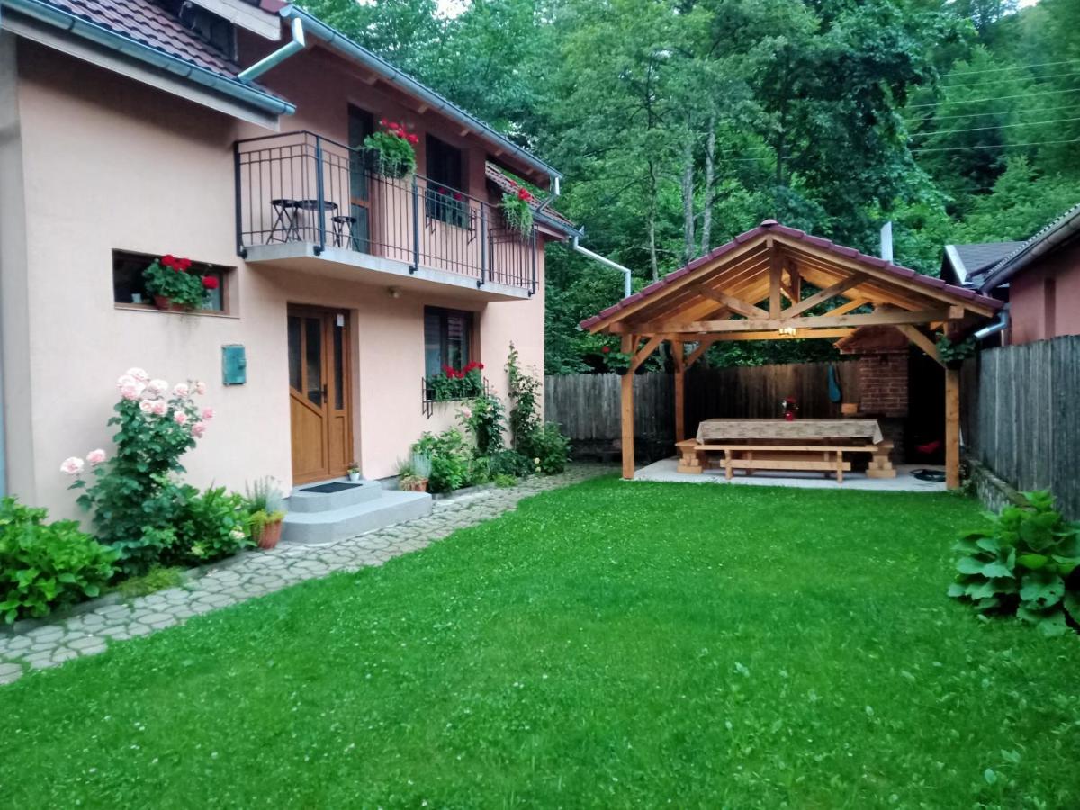 Casa Iulia & Matei Villa Cartisoara Luaran gambar