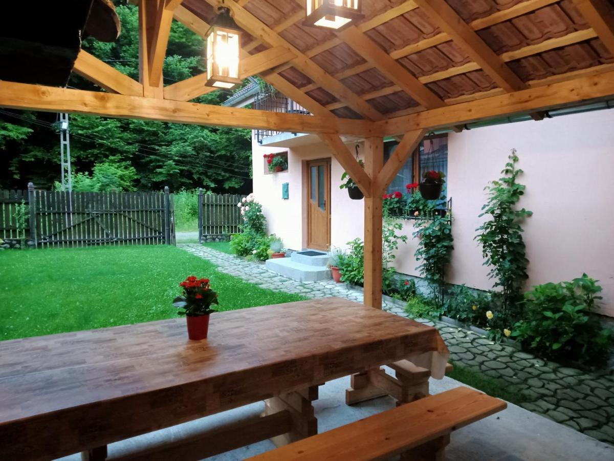 Casa Iulia & Matei Villa Cartisoara Luaran gambar
