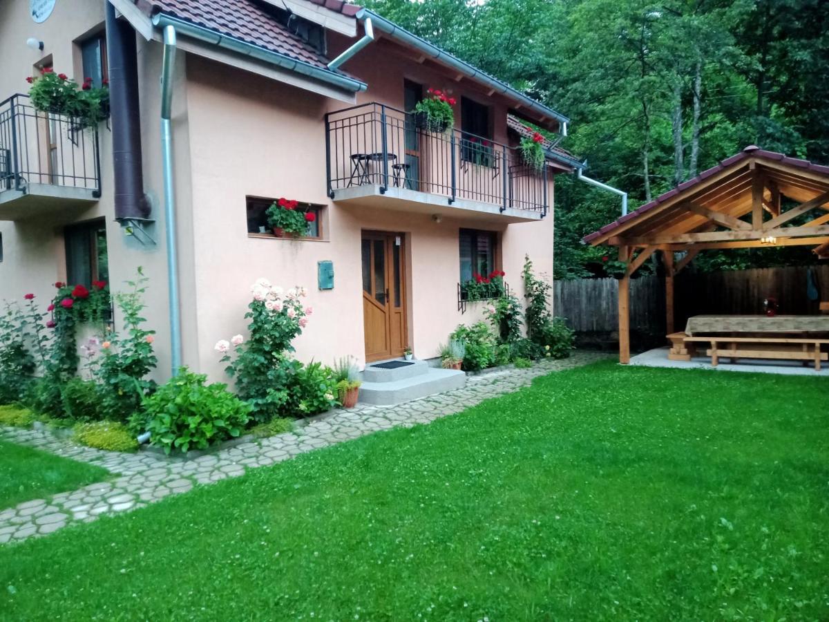 Casa Iulia & Matei Villa Cartisoara Luaran gambar