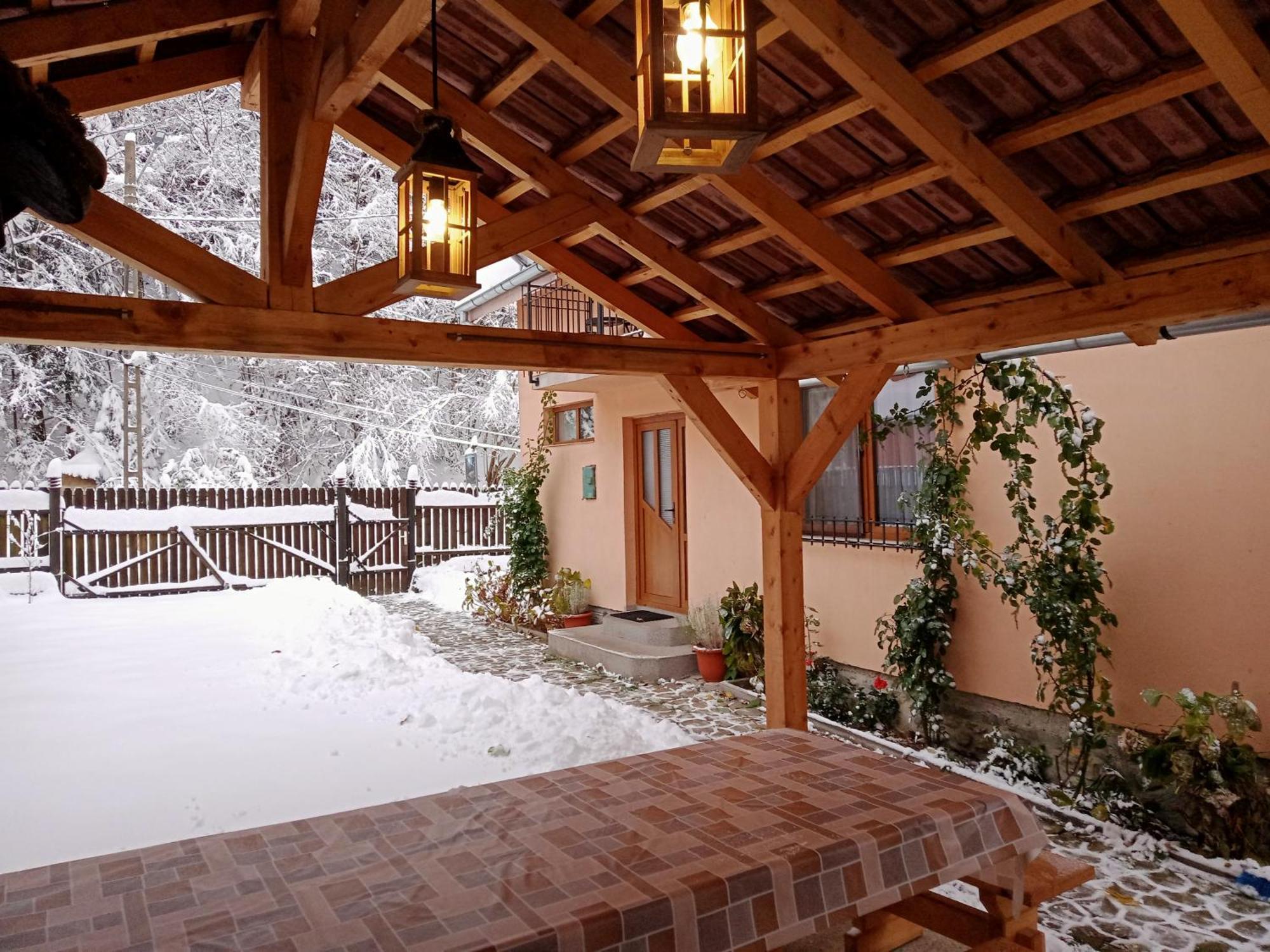 Casa Iulia & Matei Villa Cartisoara Luaran gambar