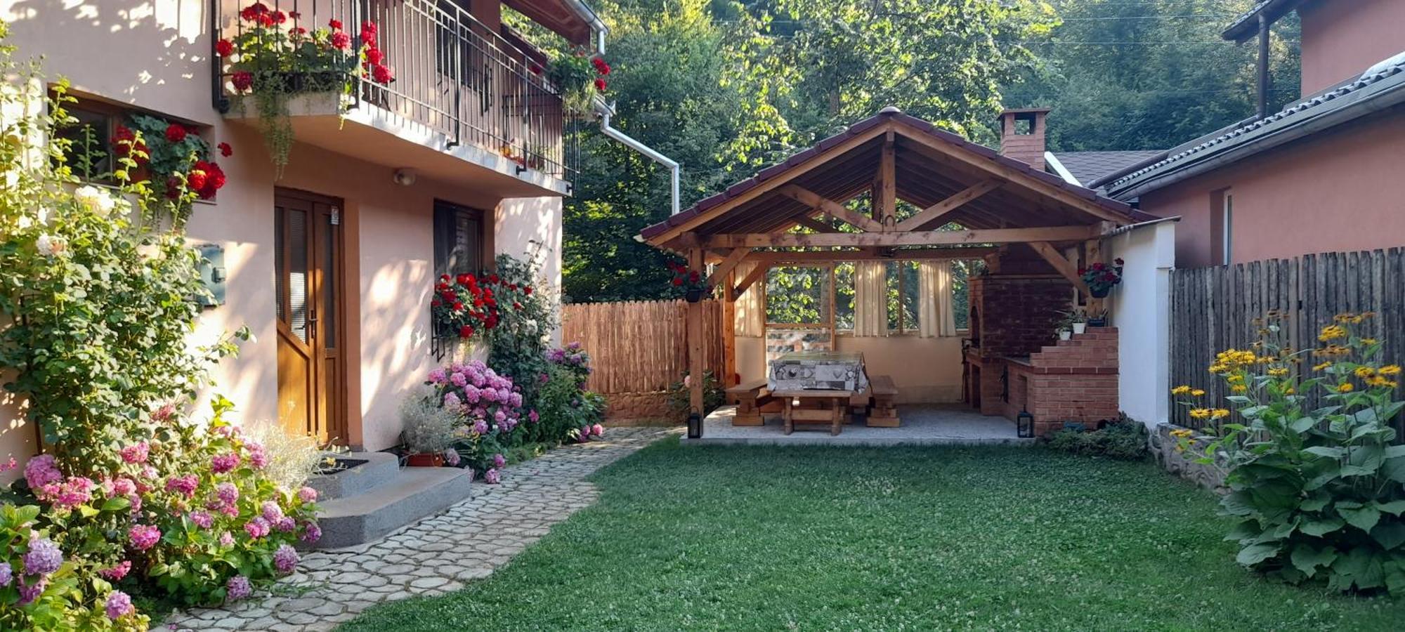 Casa Iulia & Matei Villa Cartisoara Luaran gambar